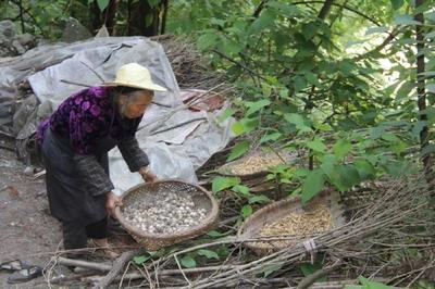 六盤(pán)水八旬老嫗住在山洞中長(zhǎng)達(dá)半個(gè)世紀(jì)