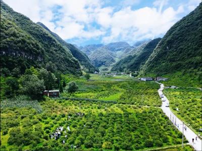 六盤水市產業(yè)轉型升級示范區(qū)2項經驗在全國推廣并獲通報表揚